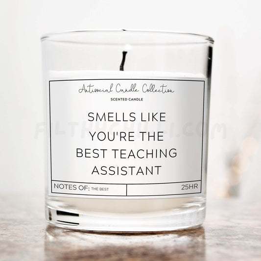 Smells Like You Are the Best Teaching Assistant Candle