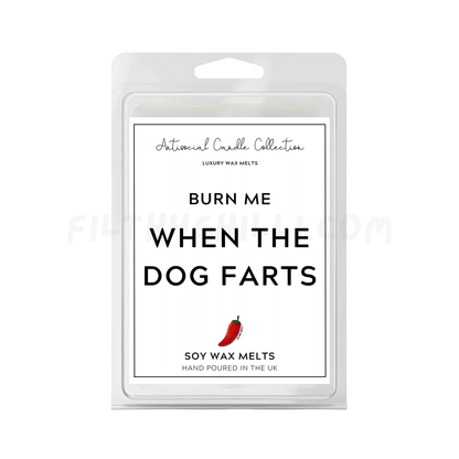 Burn Me When The Dog Farts Wax Melts