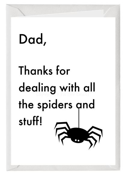 Dealing With Spiders