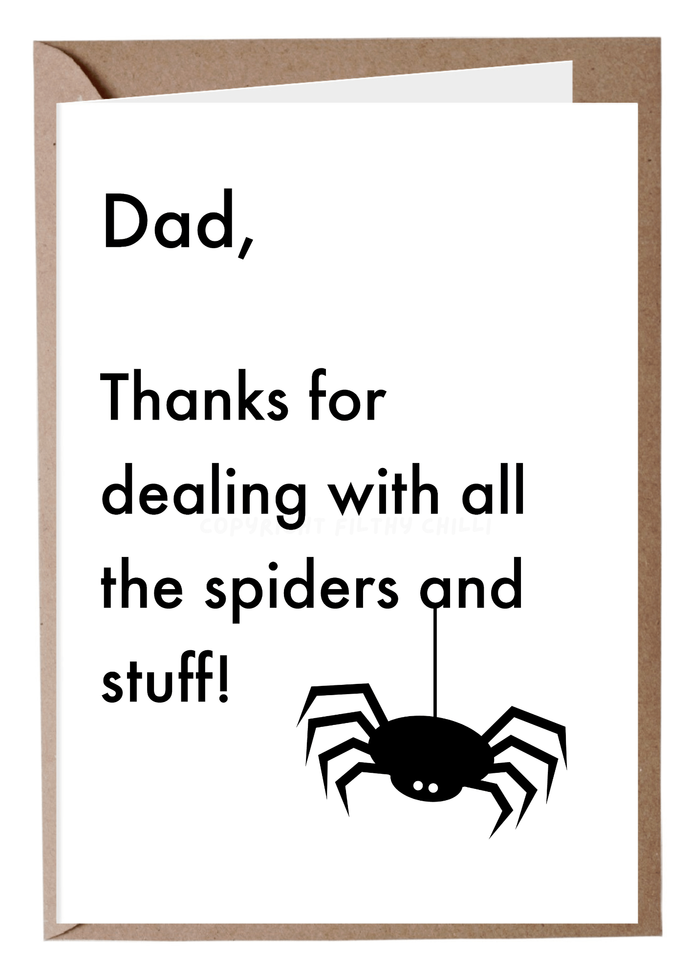 Dealing With Spiders