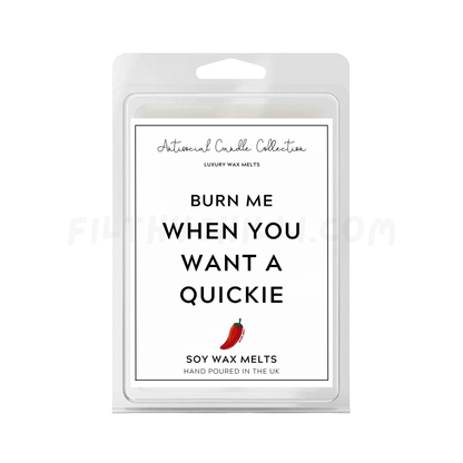 Burn Me When You Want a Quickie Wax Melts 